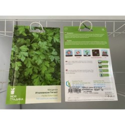 МАГДАНОЗ ИТАЛИАНСКИ ГИГАНТ