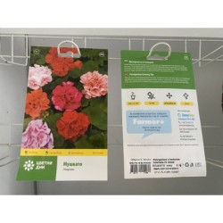ЦВЕТЯ МУШКАТО МИКС ХОБИ 0.1 ГР.