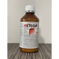 МЕТЕОР 1 Л.