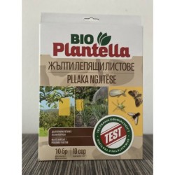 ЛЕПЯЩИ ЖЪЛТИ ЛИСТИ А3